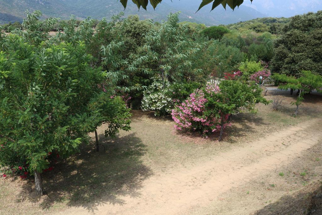 Camping Les Couchants Casaglione Eksteriør bilde