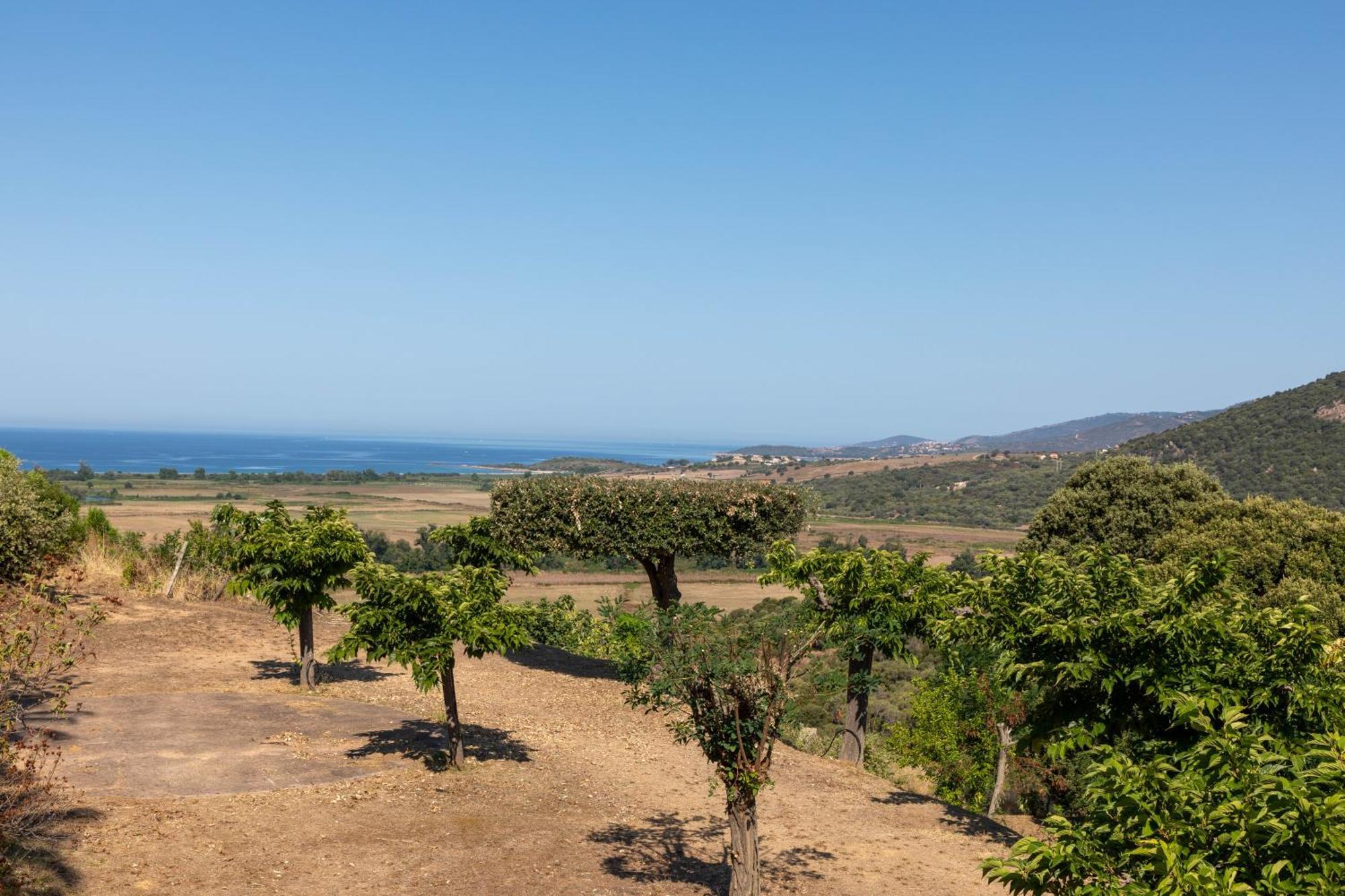 Camping Les Couchants Casaglione Eksteriør bilde